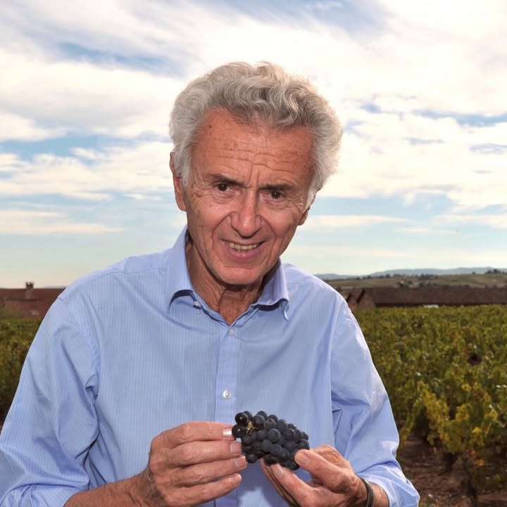 A moment from Château des Poupets on Instagram
