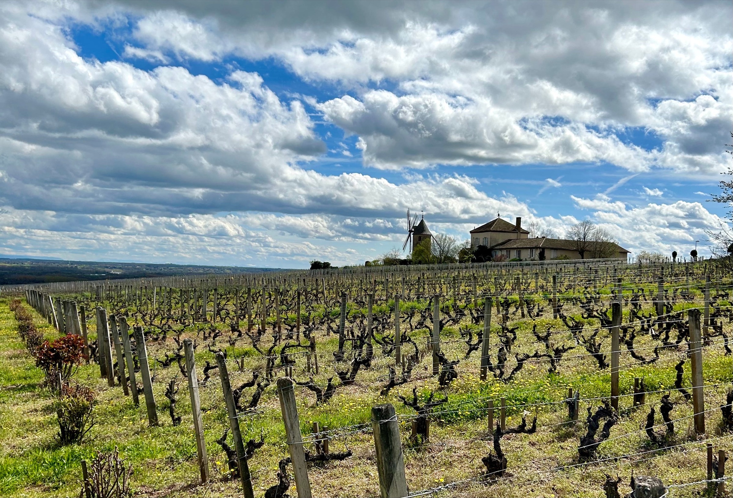 Beaujolais-এর দশটি Cru